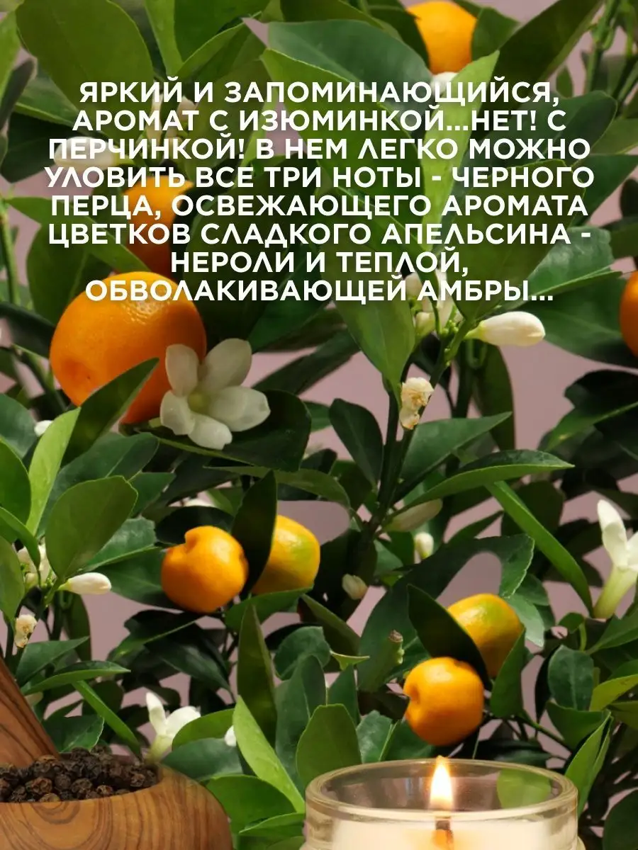 Свечи ароматические для дома Levende Lys купить по цене 306 ₽ в  интернет-магазине Wildberries | 166316762