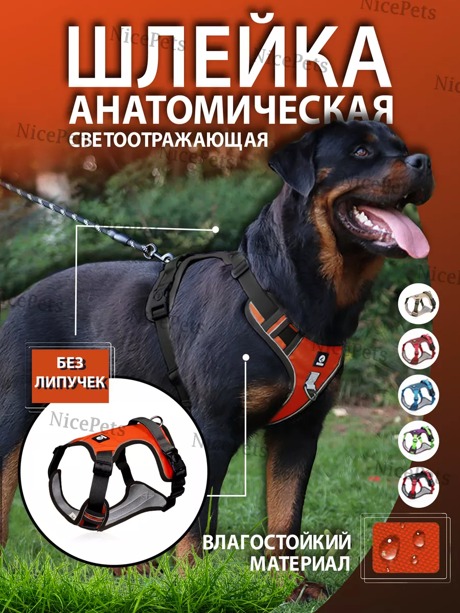 NicePets Шлейка для собак