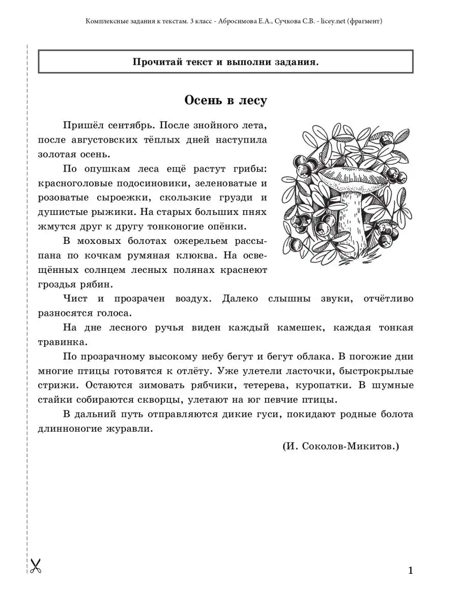 Комплексная работа с текстом 3 класс Линейка! купить по цене 341 ₽ в  интернет-магазине Wildberries | 167355415