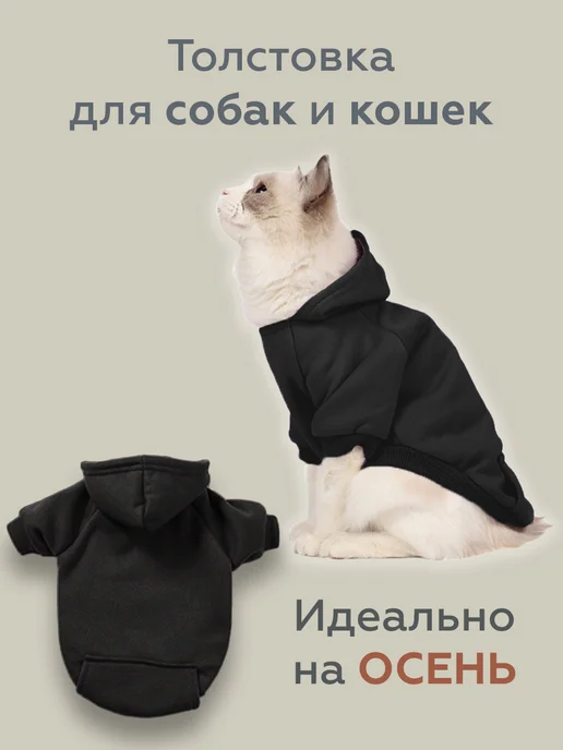 LalaBaby Кофточка Котенок - podarok-55.ru