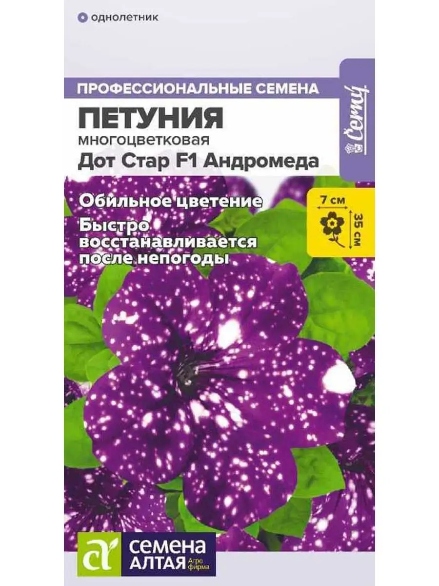 петуния дот стар фото 86