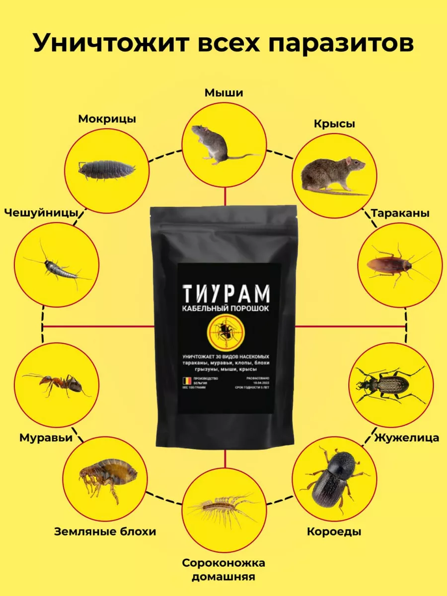 Средство от тараканов и муравьев 100 гр Тиурам от тараканов и грызунов  купить по цене 448 ₽ в интернет-магазине Wildberries | 167592783