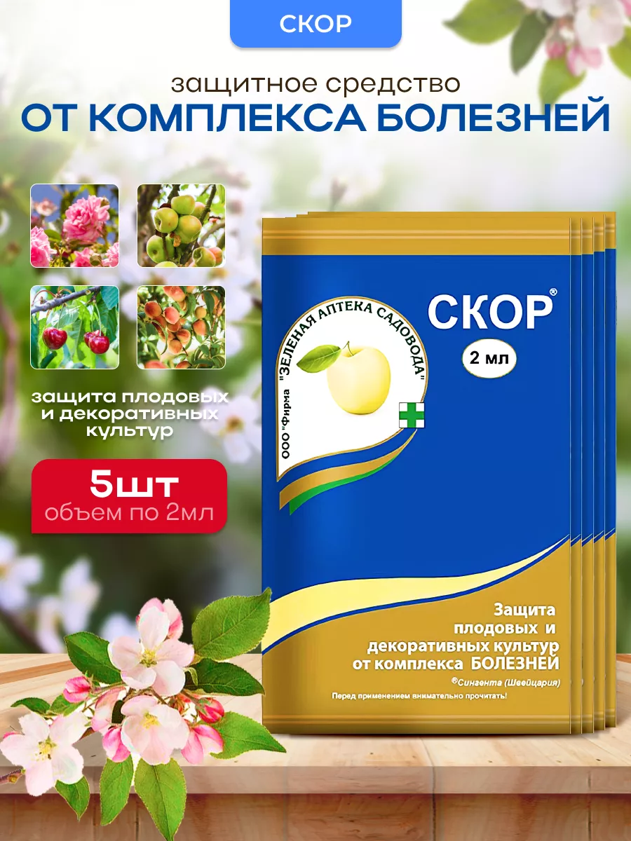 Wildberries — интернет-магазин модной одежды, обуви и аксессуаров