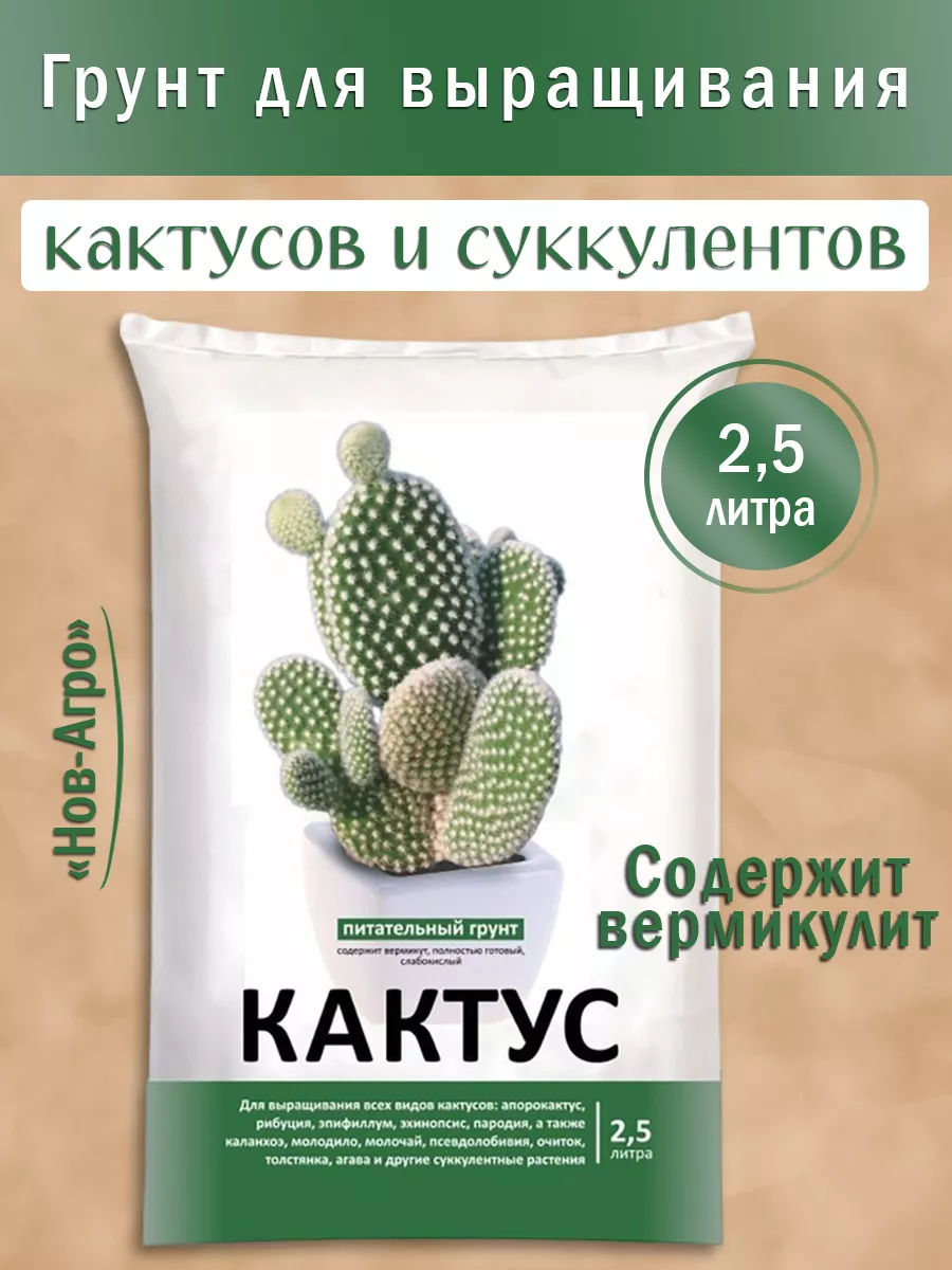 Грунт для кактусов и суккулентов Нов-Агро 2,5 л Mitby купить по цене 60 700  сум в интернет-магазине Wildberries в Узбекистане | 167747395