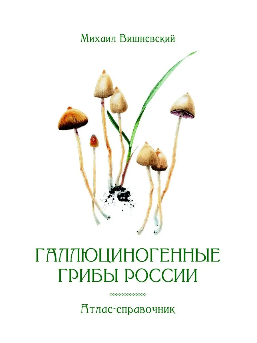 Галлюциногенные грибы России. Атлас-справочник Книги для всех купить по  цене 1 493 ₽ в интернет-магазине Wildberries | 167844859