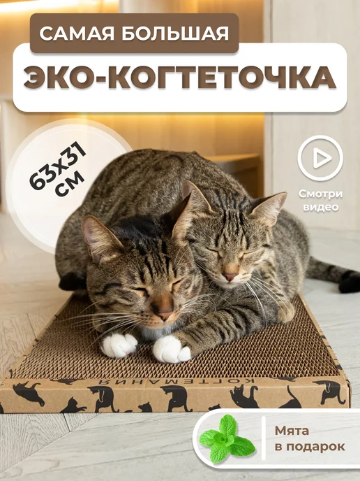 Аксессуары для кошек купить онлайн