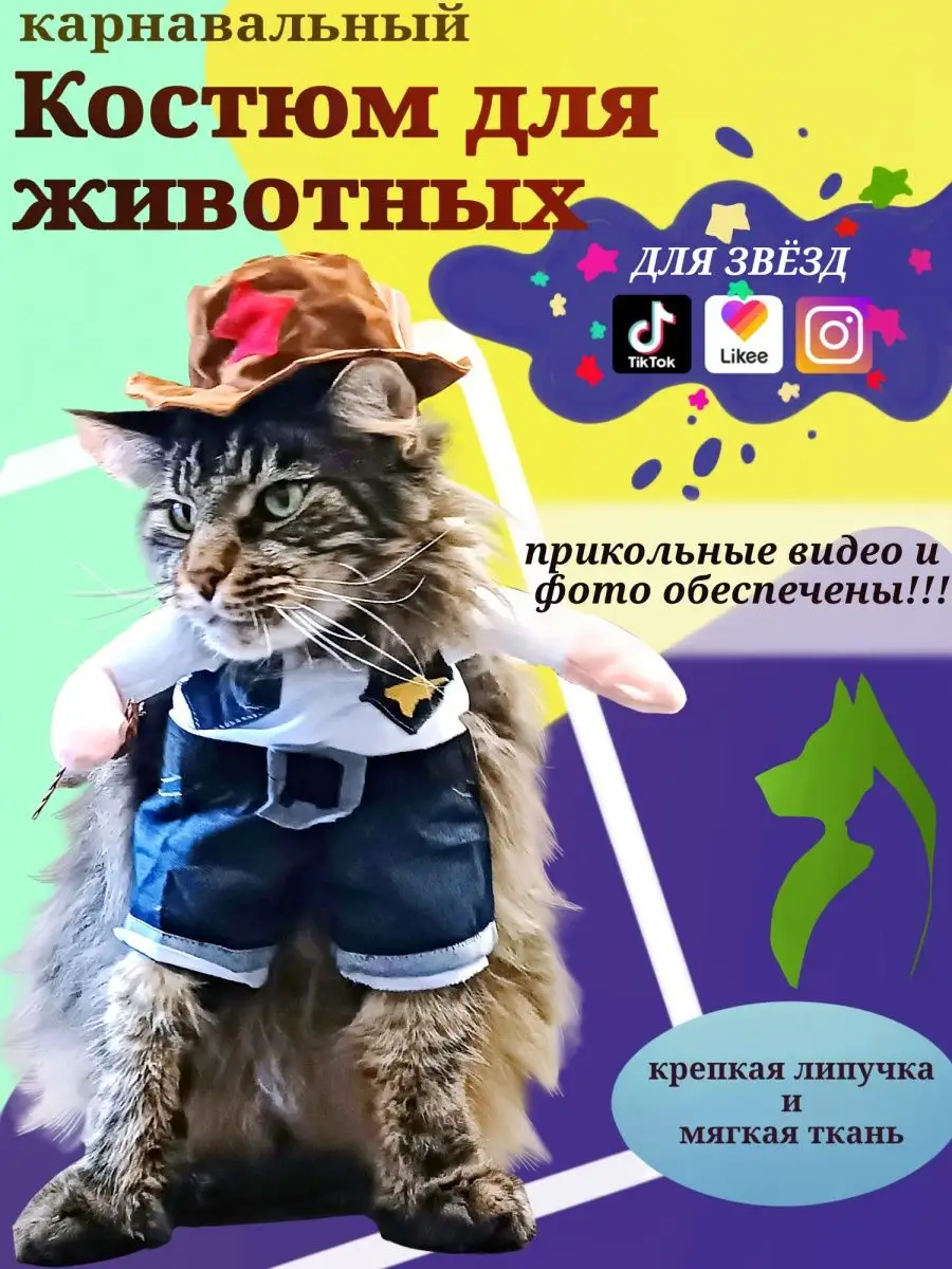 Карнавальный костюм кошки для взрослых