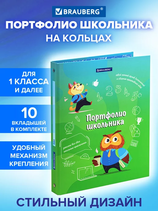 Brauberg Портфолио школьника папка А4 на кольцах, 20 файлов