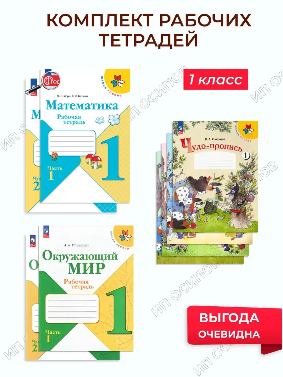 Просвещение Набор рабочих тетрадей для 1 класса + прописи (Школа России)