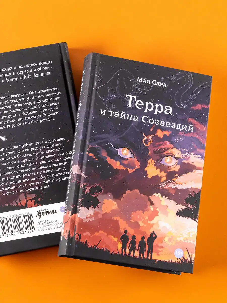 Терра и тайна созвездий. Книга 1 Альпина. Книги купить по цене 679 ₽ в  интернет-магазине Wildberries | 170579786