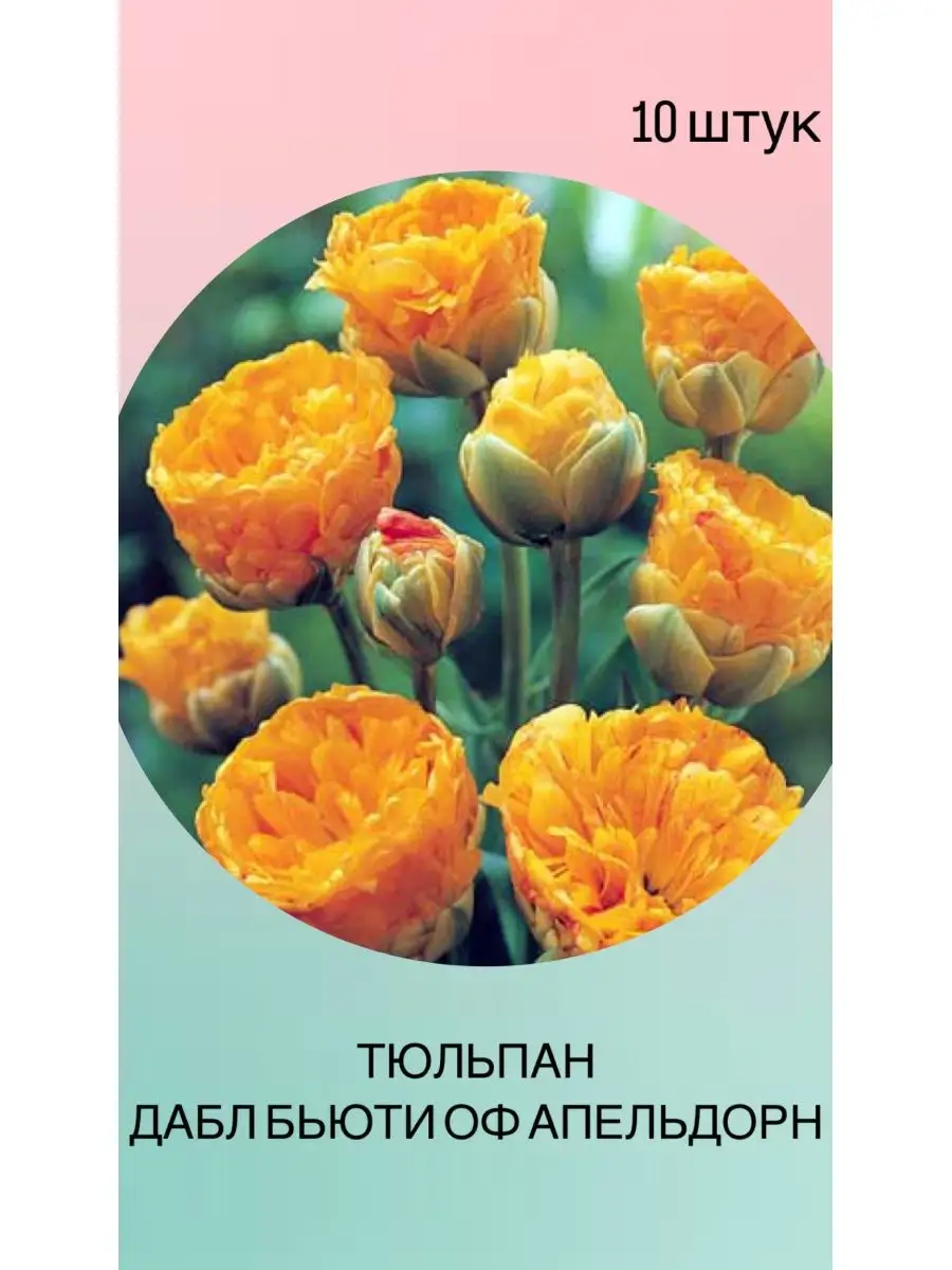 Аленький цветочек - Ландшафтная мастерская Василия Журова