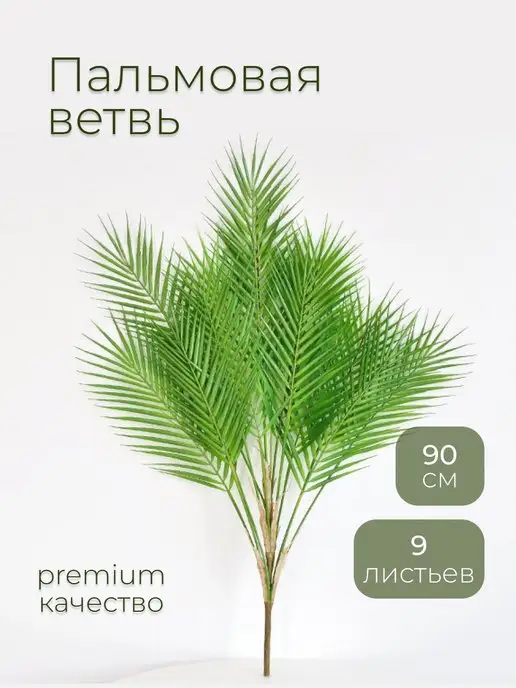 Суеверия, связанные с цветами – энергетика, хорошие и плохие приметы