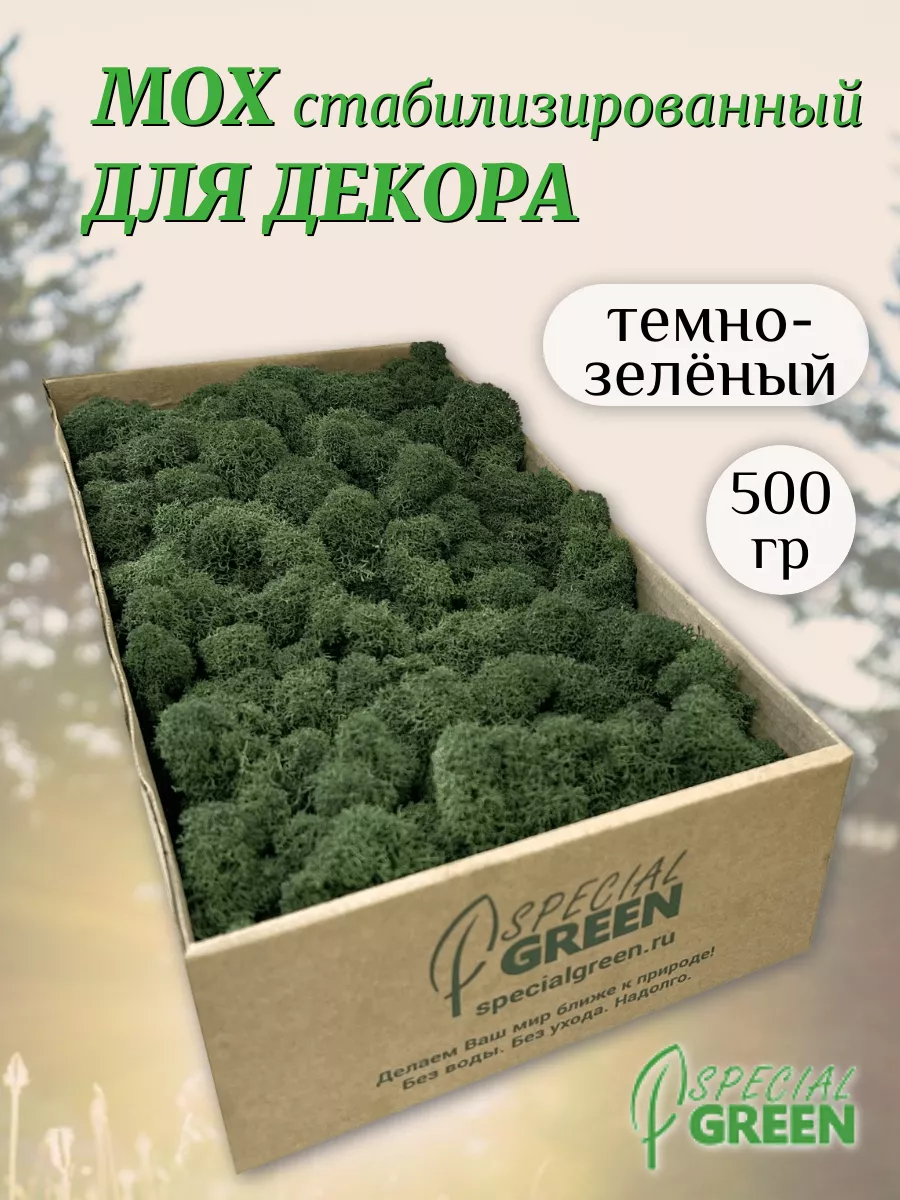 Мох стабилизированный ягель 500 гр SPECIALGREEN купить по цене 0 ֏ в  интернет-магазине Wildberries в Армении | 171319966