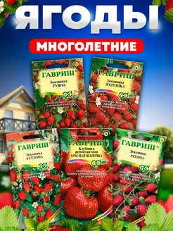Гавриш Семена клубники земляники