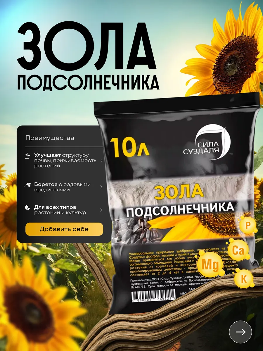 Зола подсолнечника
