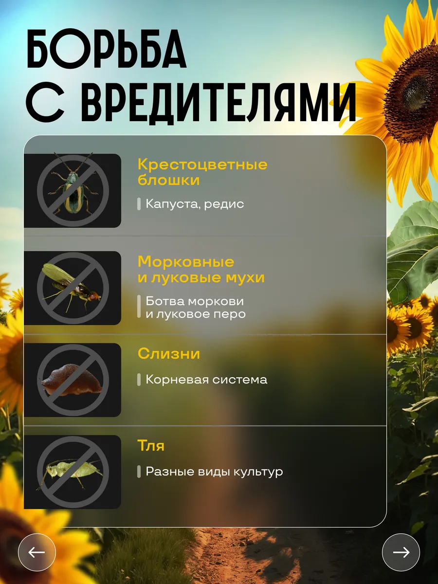 Зола подсолнечника