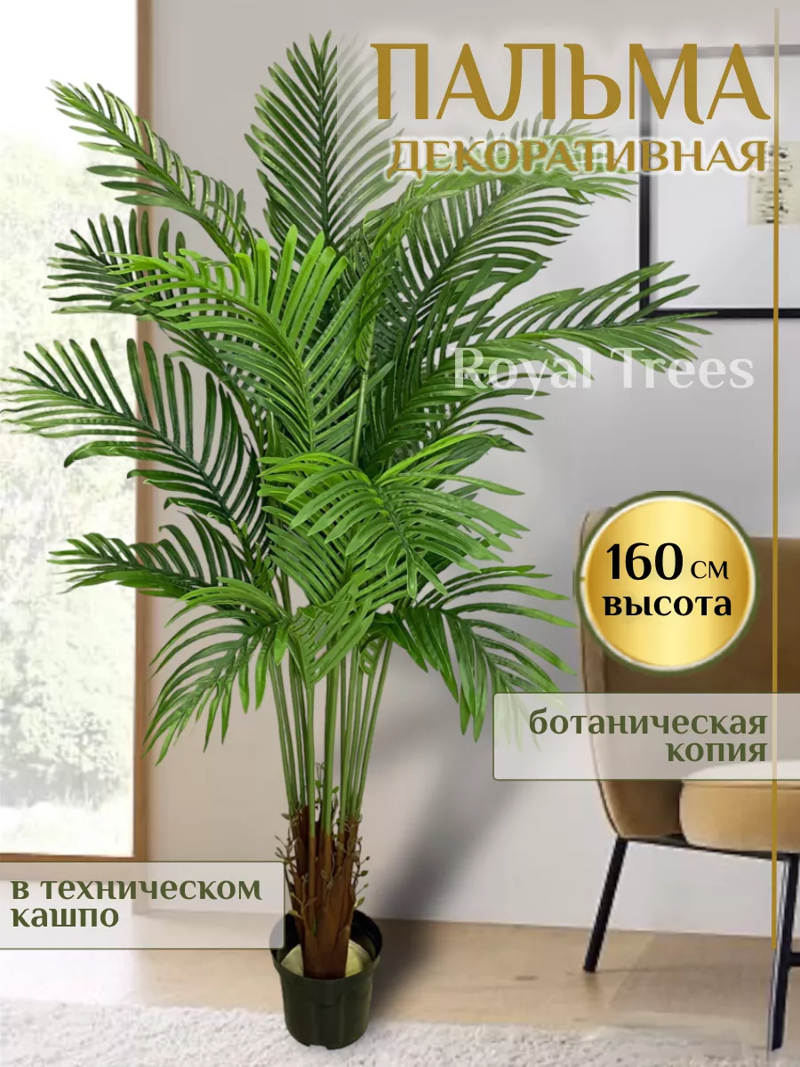 Искусственное дерево Пальма 160 Royal Trees купить по цене 8 285 ₽ в  интернет-магазине Wildberries | 173475707