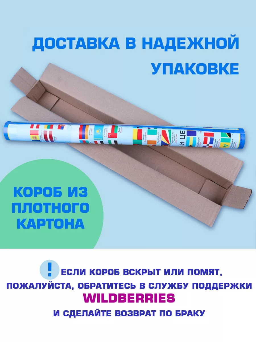 Обучающий плакат детский на стену по русскому языку падежи ЗАЙЧИКОВА купить  по цене 256 ₽ в интернет-магазине Wildberries | 173625026