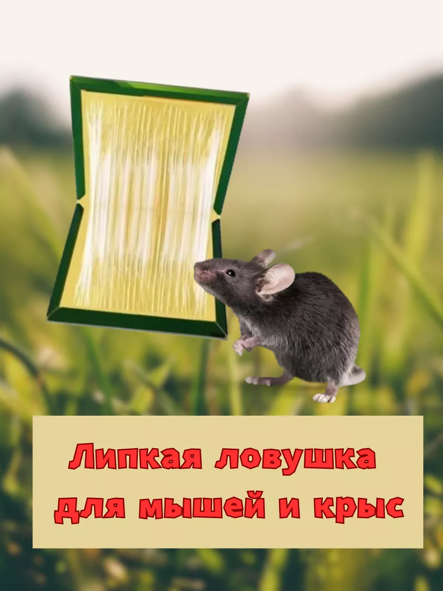 Преграда клеевая ловушка для мышей купить в магазине DEZEA