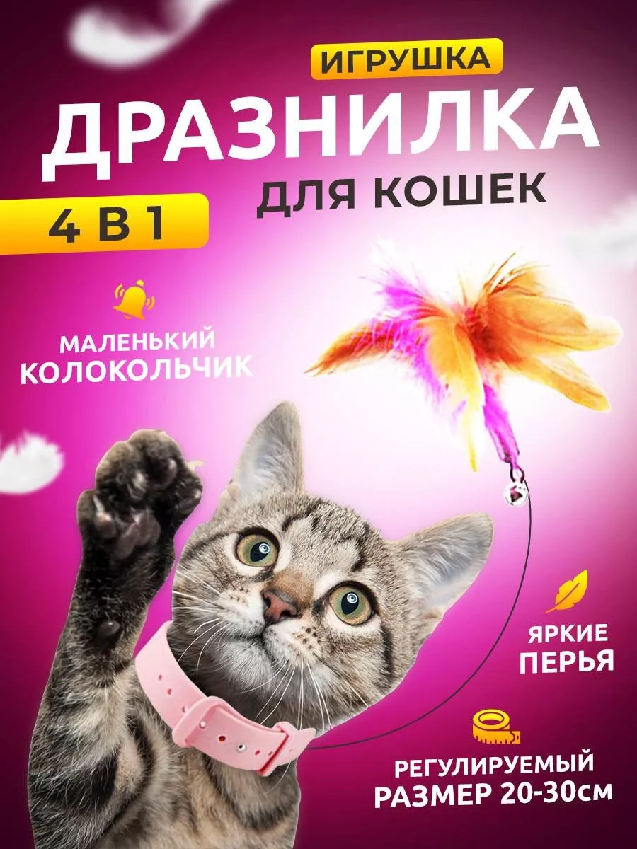 Ошейник игрушка дразнилка для кошек и котов Zelie pets купить по цене 206 ₽  в интернет-магазине Wildberries | 174710478