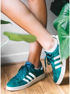 Adidas campus clearance vert