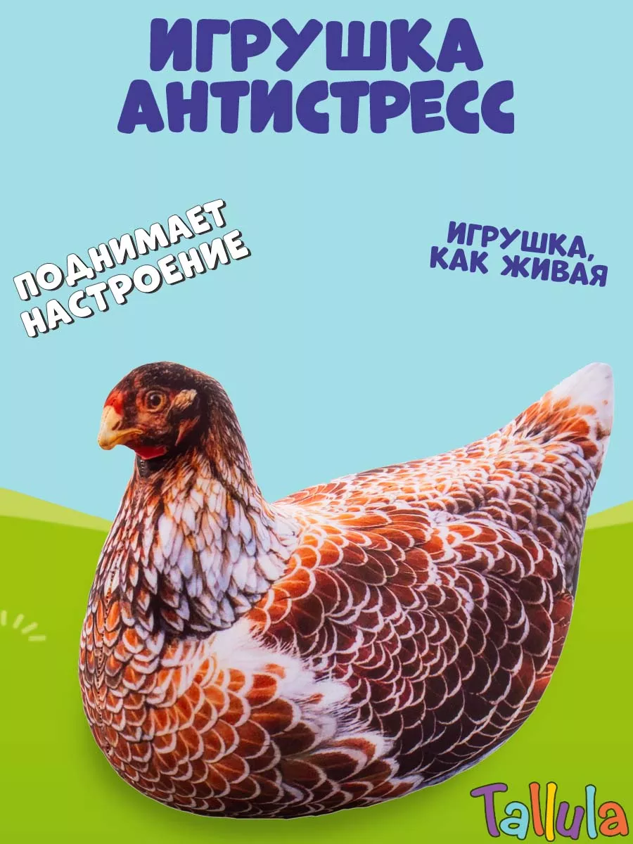 К чему снится курица — сонник: курица во сне | lavandasport.ru