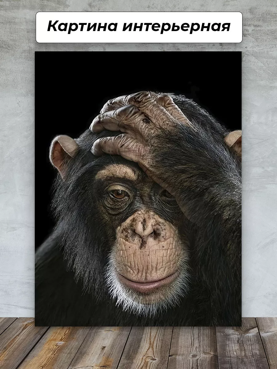 Картина обезьяна