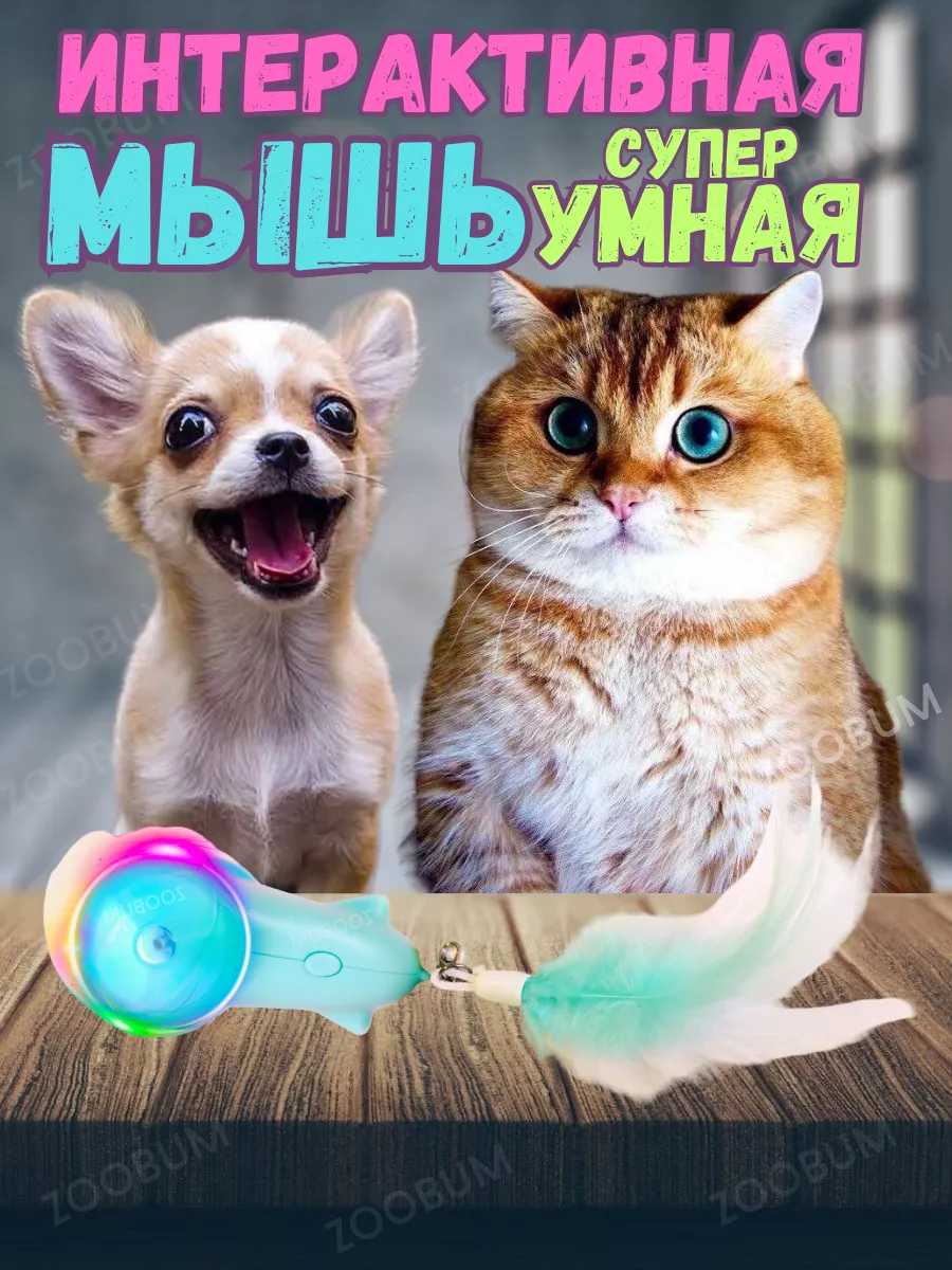 Игрушка для кошек и собак интерактивная мышь ZooBum купить по цене 28,68 р.  в интернет-магазине Wildberries в Беларуси | 174955313