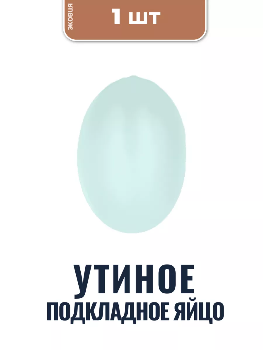 Утиное яйцо