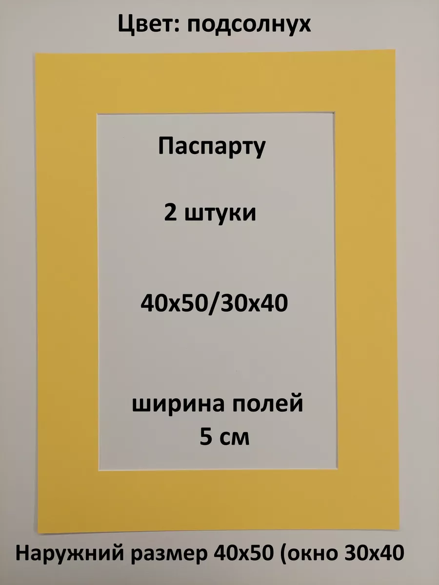 Паспарту 40х50 с окном 30х40 - 2 штуки Рамки Рязань купить по цене 583 ₽ в  интернет-магазине Wildberries | 175395965