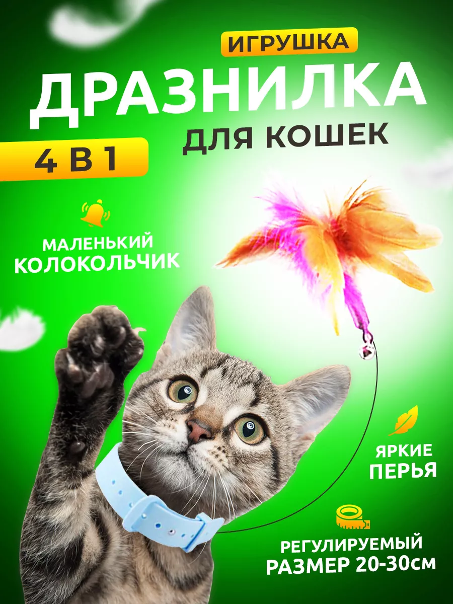 Ошейник для кота: виды, подбор и как приучить — Purina ONE®