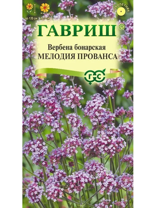 Купить Семена Вербены Бонарской В Интернет Магазине