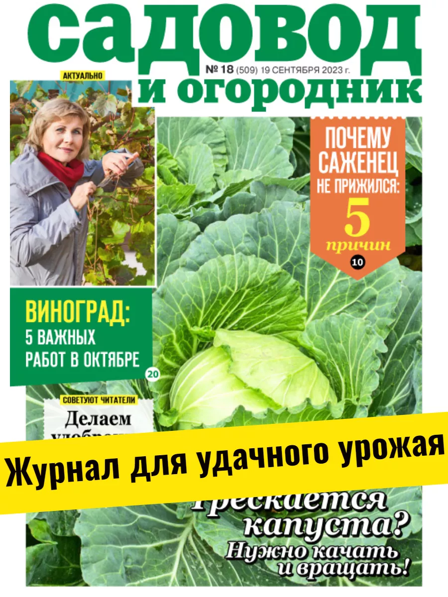 Секреты ухода за растениями. Смородина. №18 23 Садовод и огородник купить  по цене 148 ₽ в интернет-магазине Wildberries | 177022019