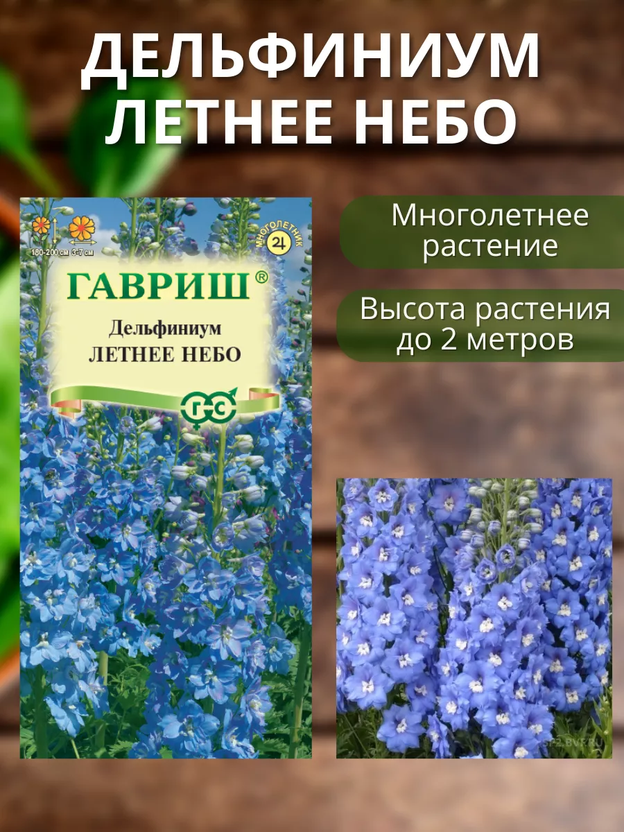 Семена цветов дельфиниума Гавриш купить по цене 180 ₽ в интернет-магазине  Wildberries | 177481291