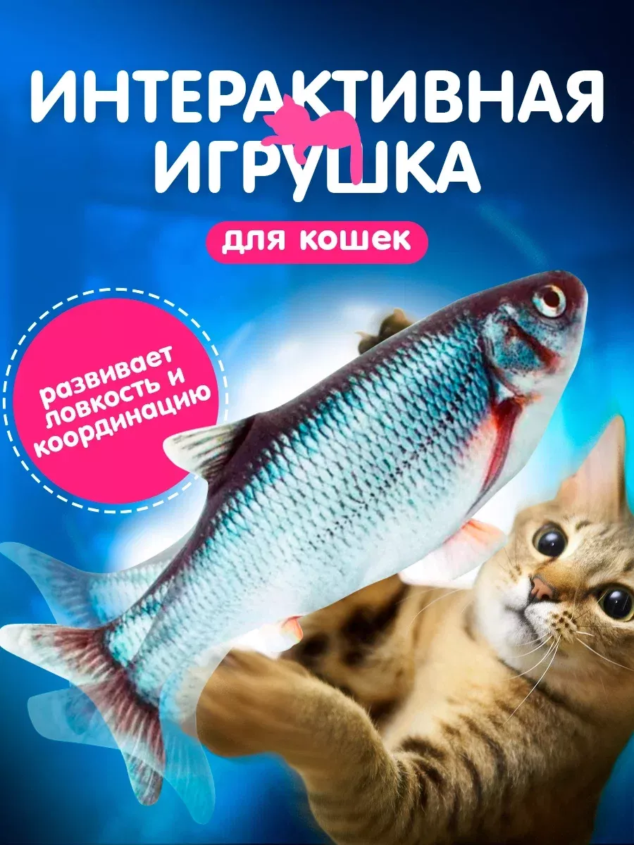 Игрушка для кошек рыба интерактивная Tenet купить по цене 12,48 р. в  интернет-магазине Wildberries в Беларуси | 177681152