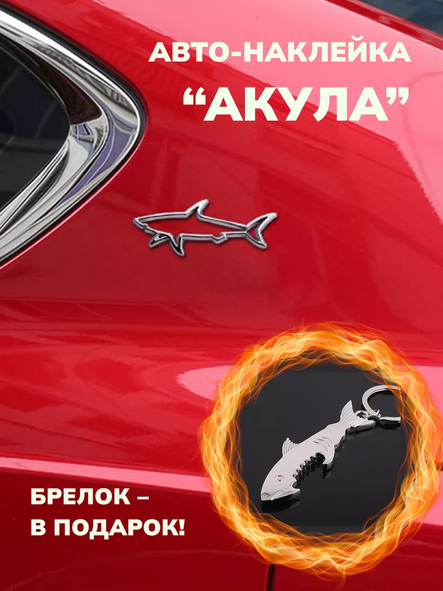 Наклейка на авто акула