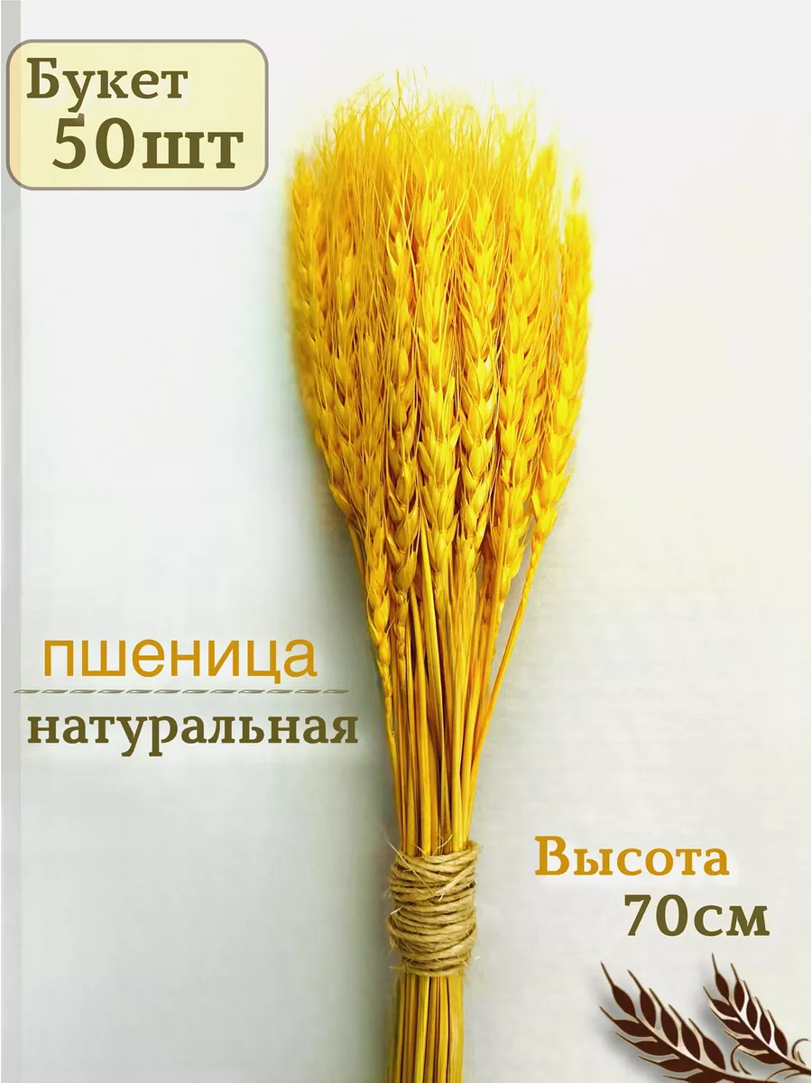 Колосья пшеницы букет сухоцветов R.1024 купить по цене 14,07 р. в  интернет-магазине Wildberries в Беларуси | 178474317