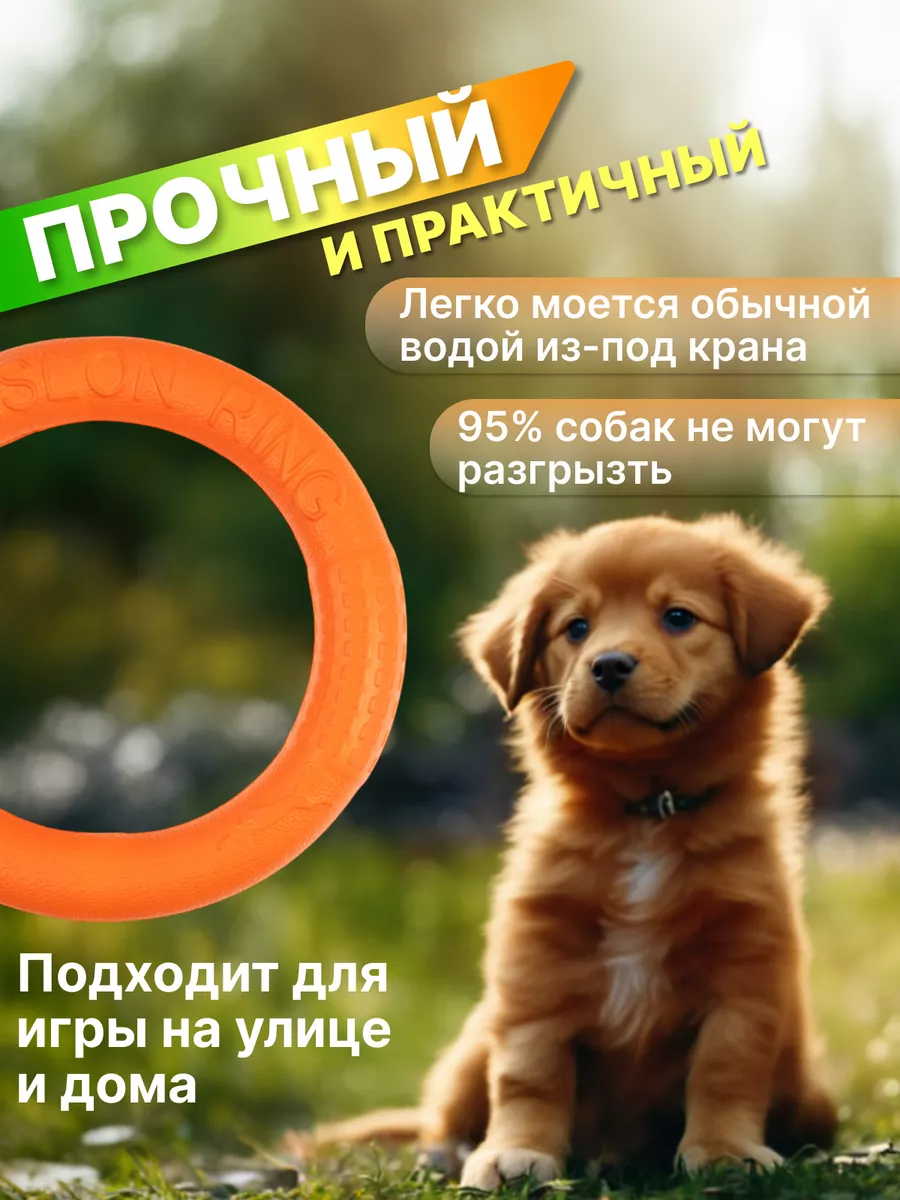 IGP Dog Кольцо для собак, игрушка пуллер