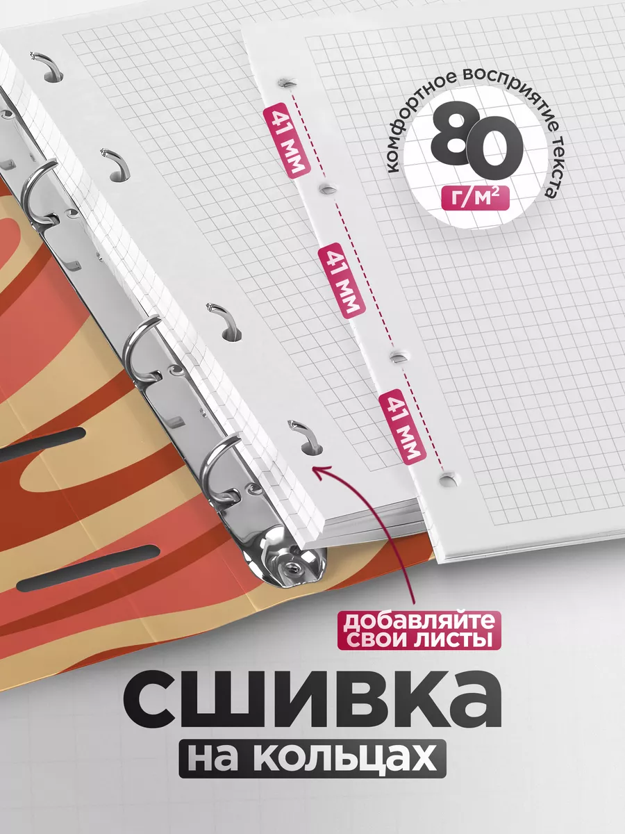 Тетрадь на кольцах общая со сменным блоком Belki BY купить по цене 437 ₽ в  интернет-магазине Wildberries | 178587672