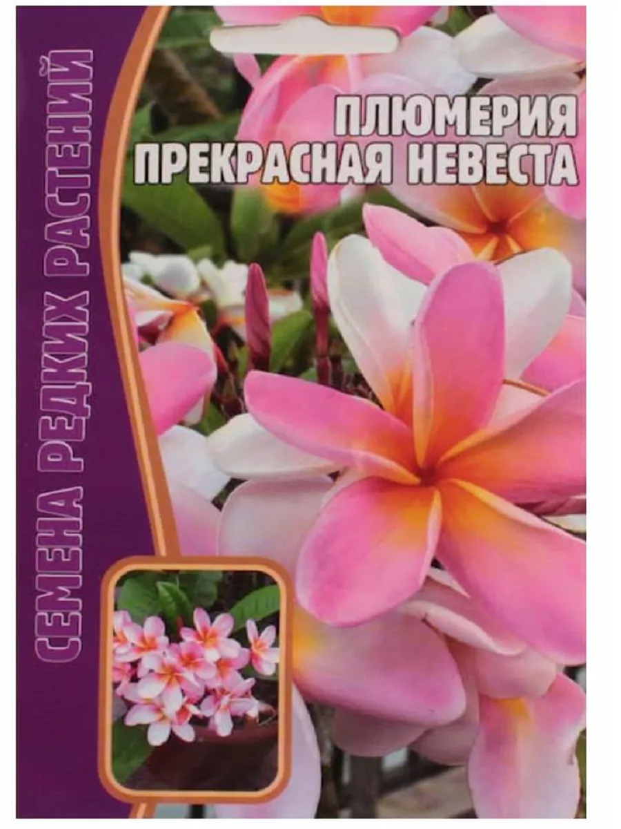 Семена Плюмерии Прекрасная невеста. Редкие семена растений Плюмерия купить  по цене 56 900 сум в интернет-магазине Wildberries в Узбекистане | 178658078