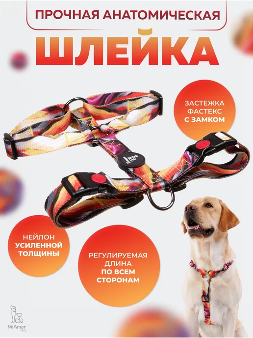 Как надевать шлейку на собаку? Виды и назначение шлеек для собак - sauna-chelyabinsk.ru
