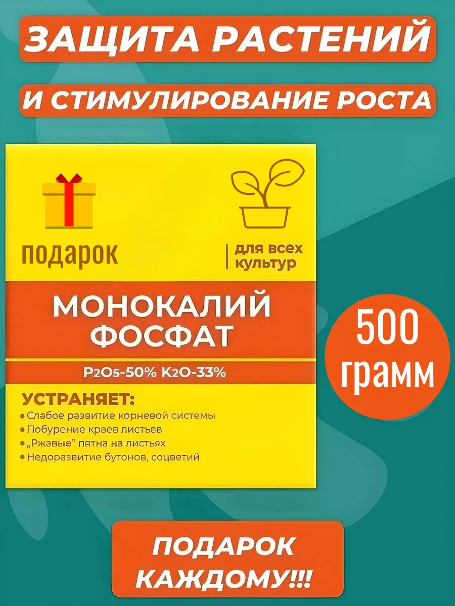 Wildberries — интернет-магазин модной одежды, обуви и аксессуаров