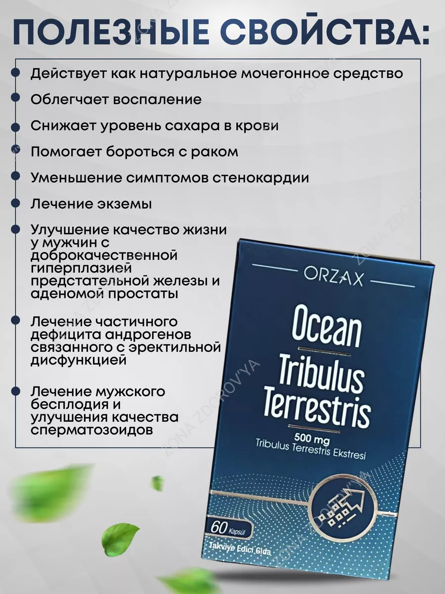 Половое влечение (либидо) у мужчин и женщин - что это?