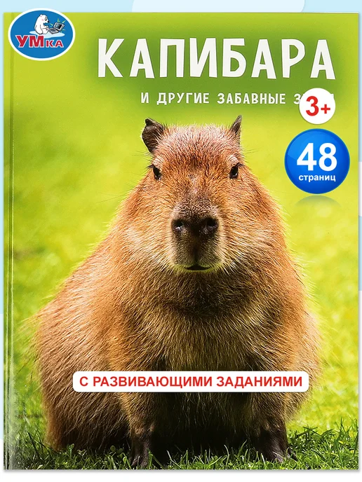 Wildberries — интернет-магазин модной одежды, обуви и аксессуаров