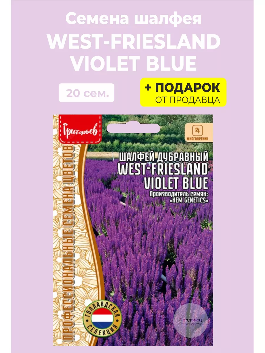 Семена Шалфей дубравный West-Friesland Violet Blue Редкие семена купить по  цене 154 ₽ в интернет-магазине Wildberries | 180559928