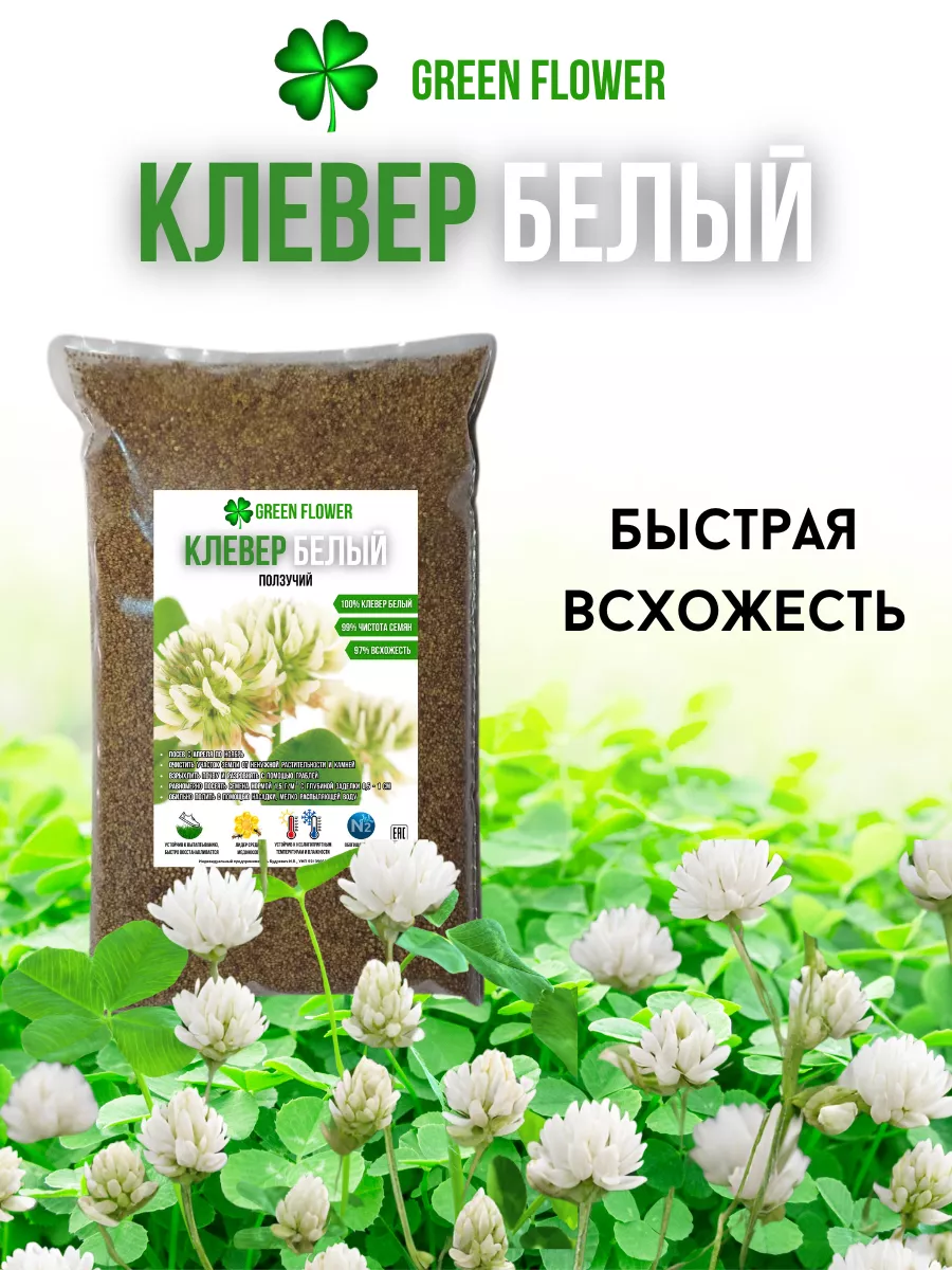 Семена клевера белого ползучего низкорослого для газона 150г Green Flower  купить по цене 502 ₽ в интернет-магазине Wildberries | 181351968