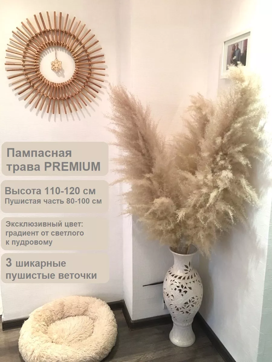 Пампасная трава Сухоцветы Кортадерия PREMIUM 3 DesignFlowers купить по цене  2 046 ₽ в интернет-магазине Wildberries | 182131417