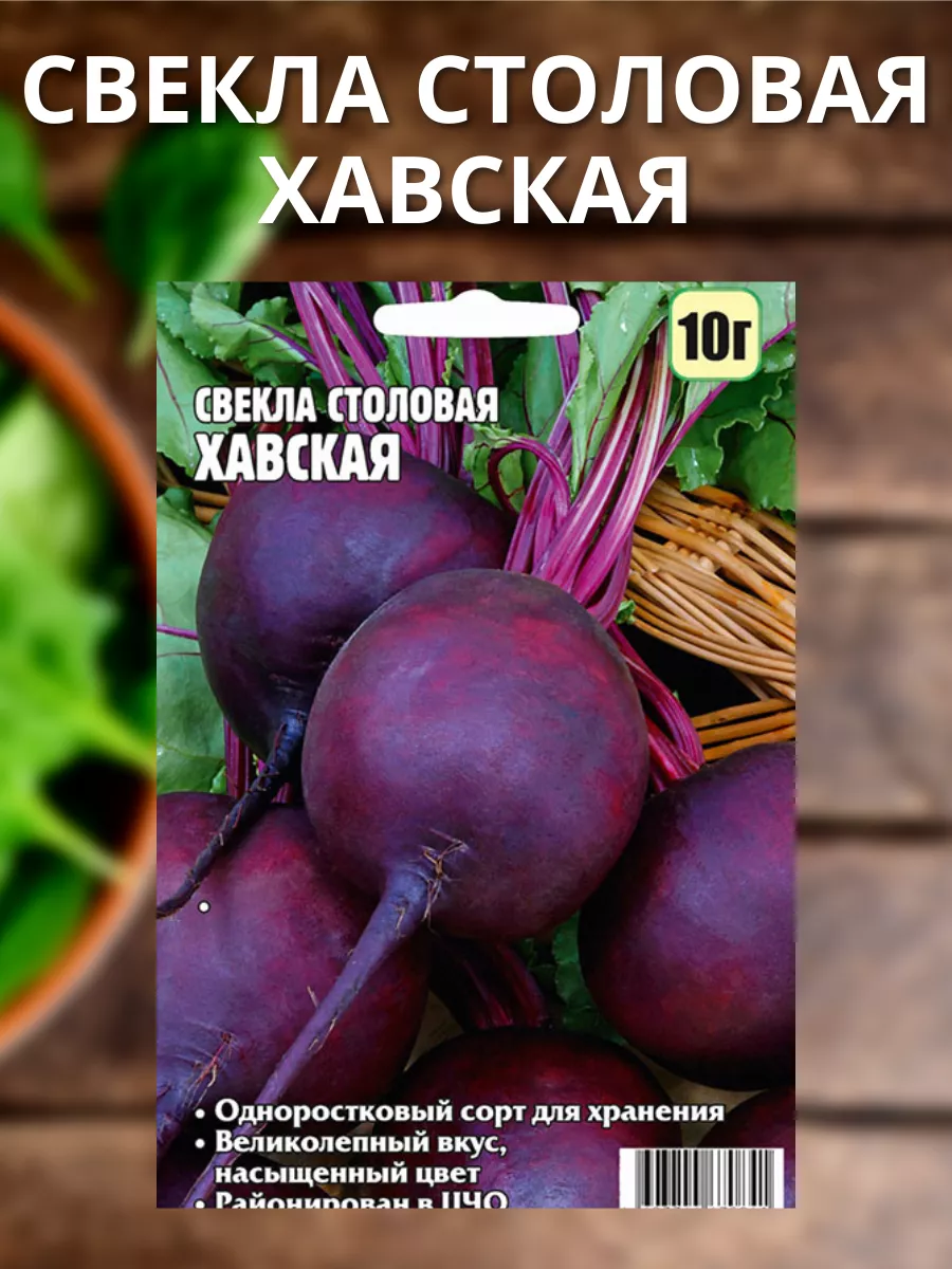 Семена столовой свеклы Агробиоцентр купить по цене 140 ₽ в  интернет-магазине Wildberries | 182136772