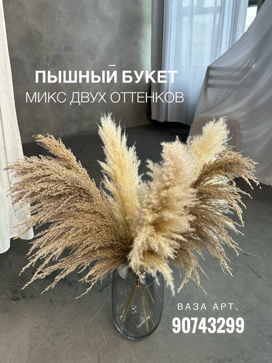 Сухоцветы пампасная трава высокая AM Home Decor купить по цене 1 584 ₽ в  интернет-магазине Wildberries | 182442927