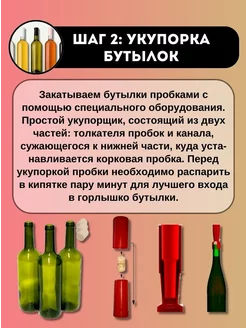 «Первое вино сделали в баке из-под селедки»: как мы открыли винодельню в Новочеркасске